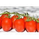 Tomates cerises 350g