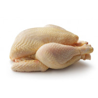 Poulet Bio