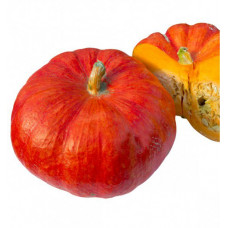 Courge - Vif d'Estampe