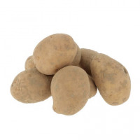 Pomme de terre 'Agria' 2.5Kg