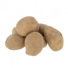 Pomme de terre 'Agria' 1Kg