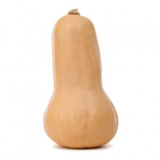 Courge - Butternut