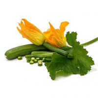 Courgette primeure 1Kg
