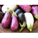 Aubergine 1Kg