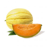 Melon Charentais